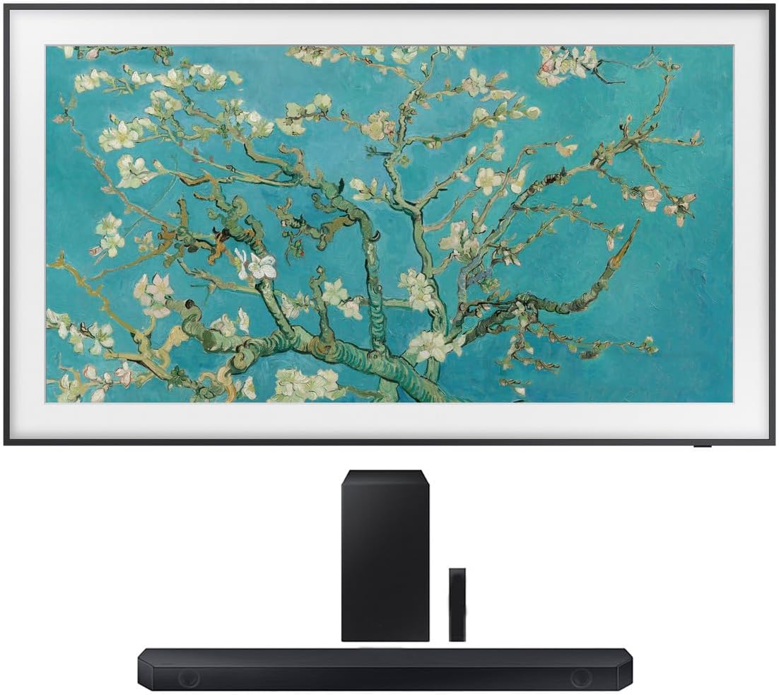 SAMSUNG QN65LS03BAFXZA TV Review